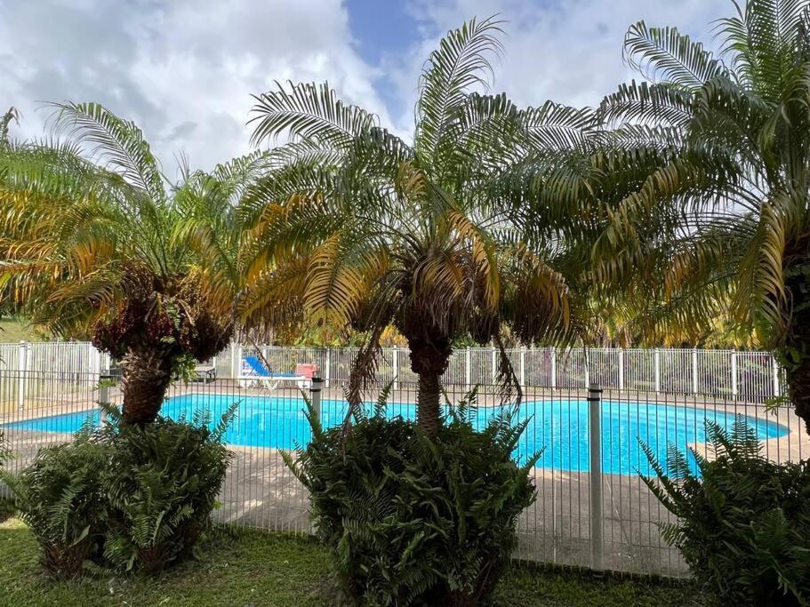 Kanoa Lodge Piscine Et Vue Mer Сен-Клод Экстерьер фото